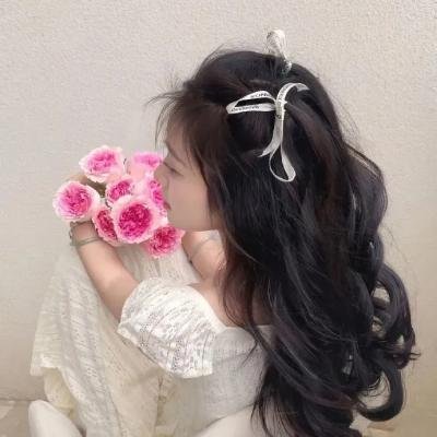 圣诞麋踪